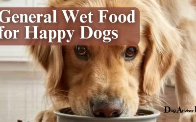 General Wet Food for Happy Dogs – Knowing 5 Benefits