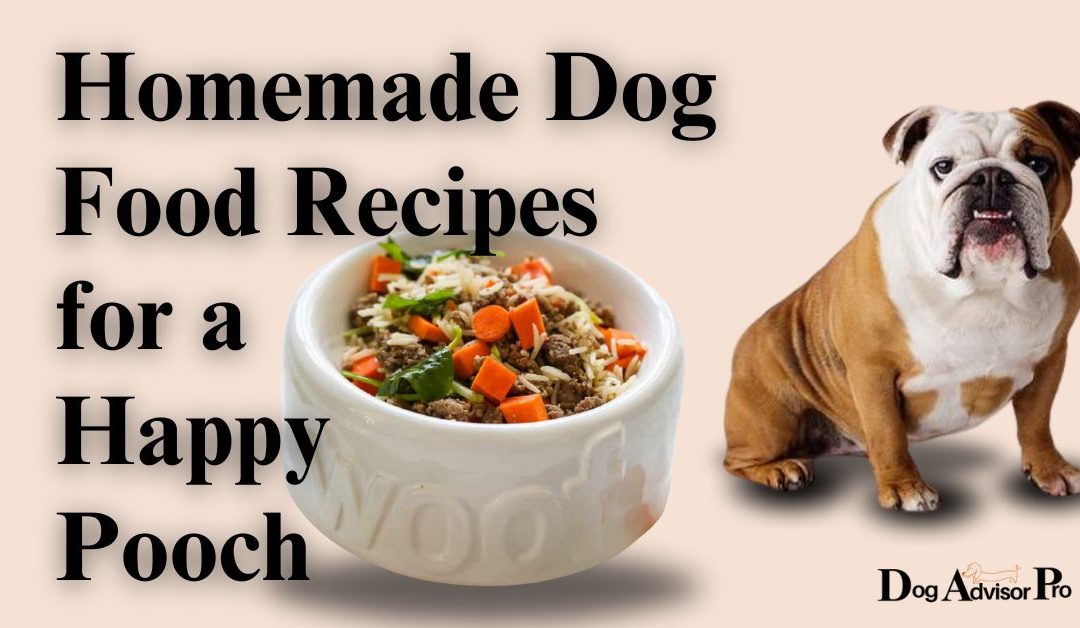 Homemade Dog Food Recipes for a Happy Pooch