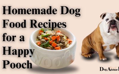 Homemade Dog Food Recipes for a Happy Pooch – Expert Guide In 2024
