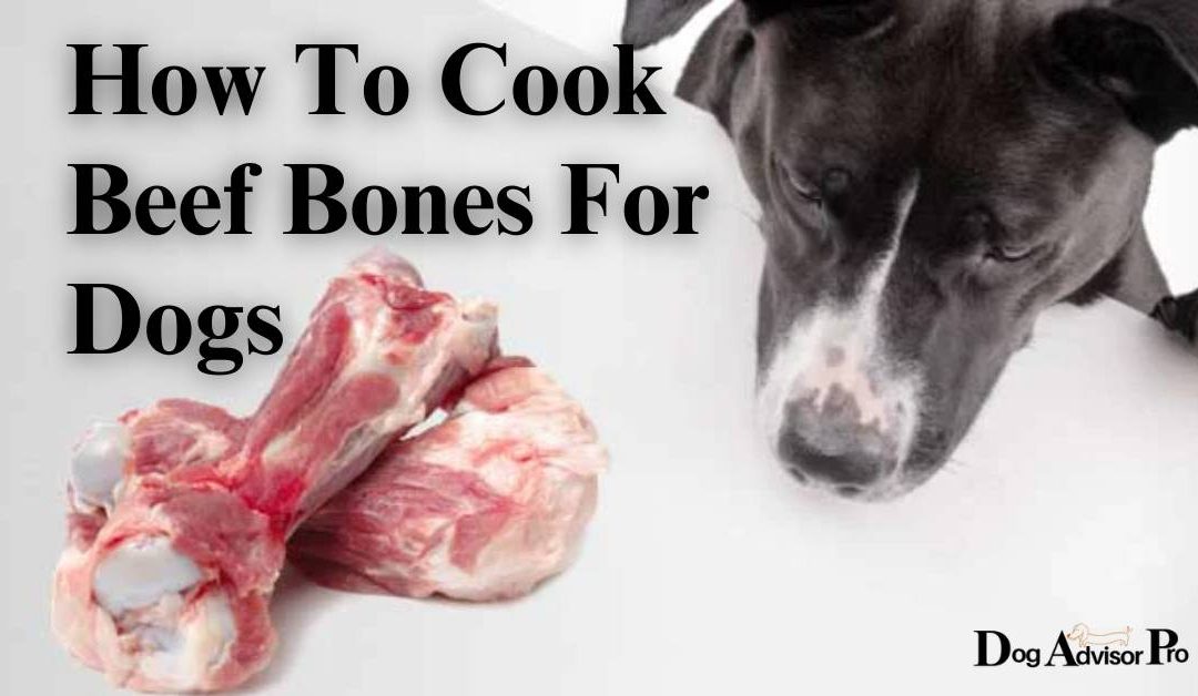 How To Cook Beef Bones For Dogs