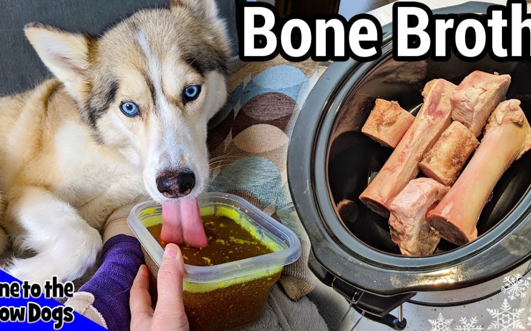 How Do You Cook Beef Marrow Bones for Dogs
