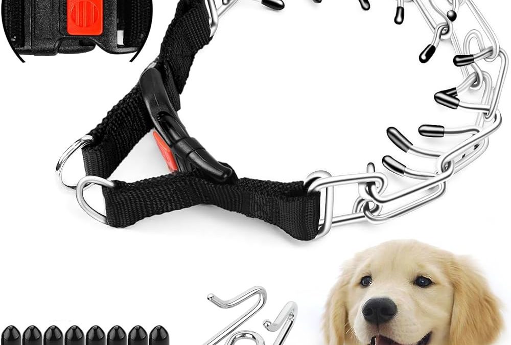 How to Use a Training Collar on a Puppy