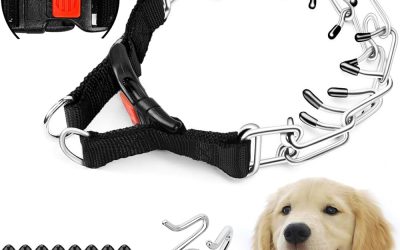 How to Master Puppy Training with a Training Collar: A Step-by-Step Guide